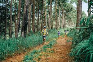 BIB: 
                            <button type="button" onclick="openModal(25751268)" class="btn btn-primary btn-sm float-right btn-popup" data-toggle="modal" data-target=".modal-high-quality">
                        <i class="fas fa-shopping-cart"></i> Add to Cart
                    </button>
                                            <button type="button" onclick="isThisMe(25751268, true)" class="btn btn-success btn-sm float-right btn-popup btn-isme hidden" data-toggle="tooltip" data-placement="bottom" title="นี่คือรูปของคุณใช่ไหม คลิกที่นี่เพื่อเอาเข้าอัลบั้ม">
                        <i class="fas fa-plus"></i> Add to album
                    </button>
                    <button type="button" onclick="isThisMe(25751268, false)" class="btn btn-warning btn-sm float-right btn-popup btn-isnotme hidden">
                        <i class="fas fa-ban"></i> Remove from album
                    </button>